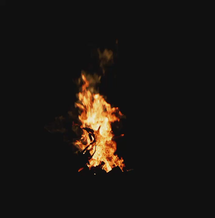 Free Campfire VDB (Animated Fire)